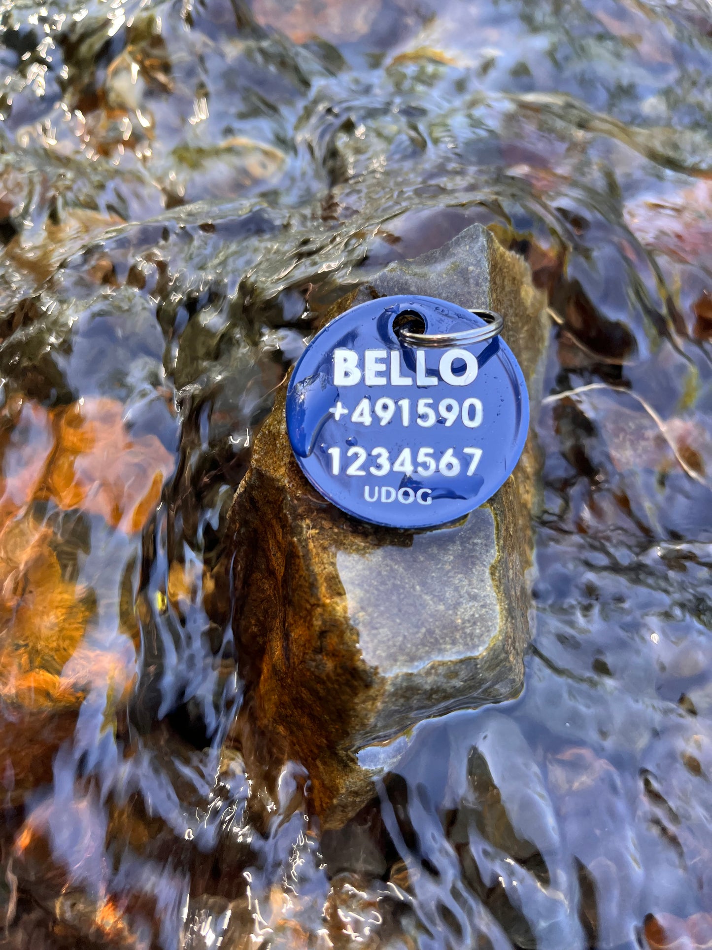UDOG Tag “Autumn Fever”