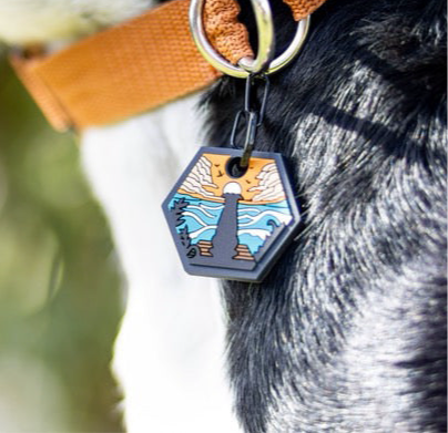 UDOG Tag “Sandy Ocean”