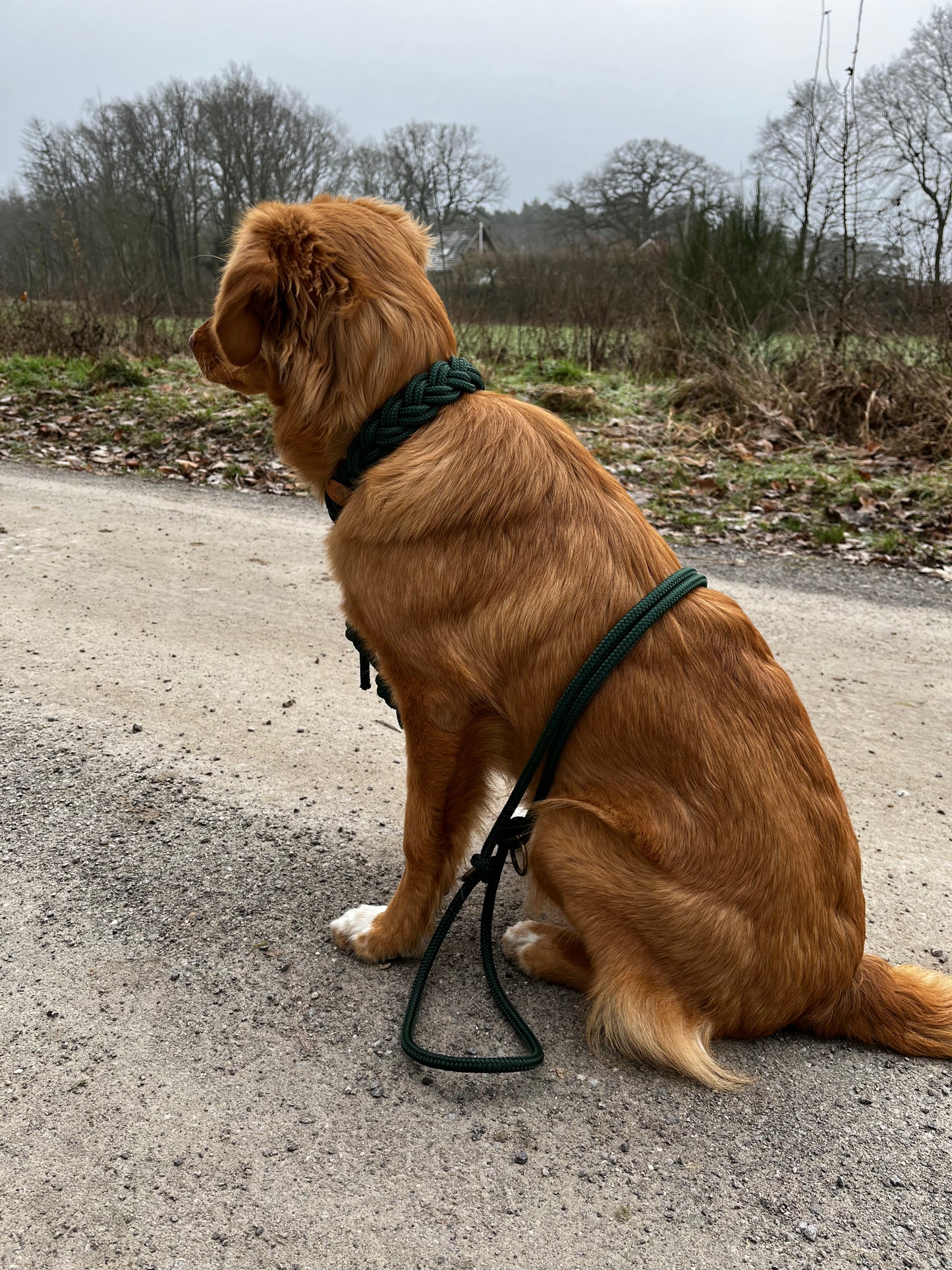 Length-adjustable leash
