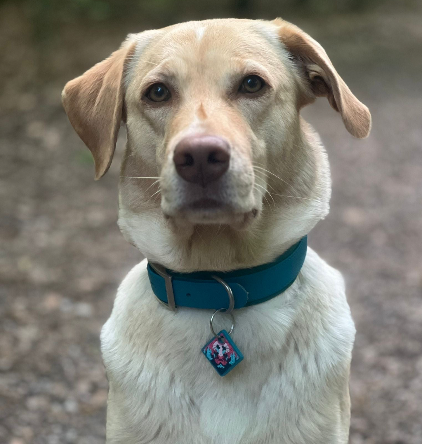 UDOG Tag “Akbal“