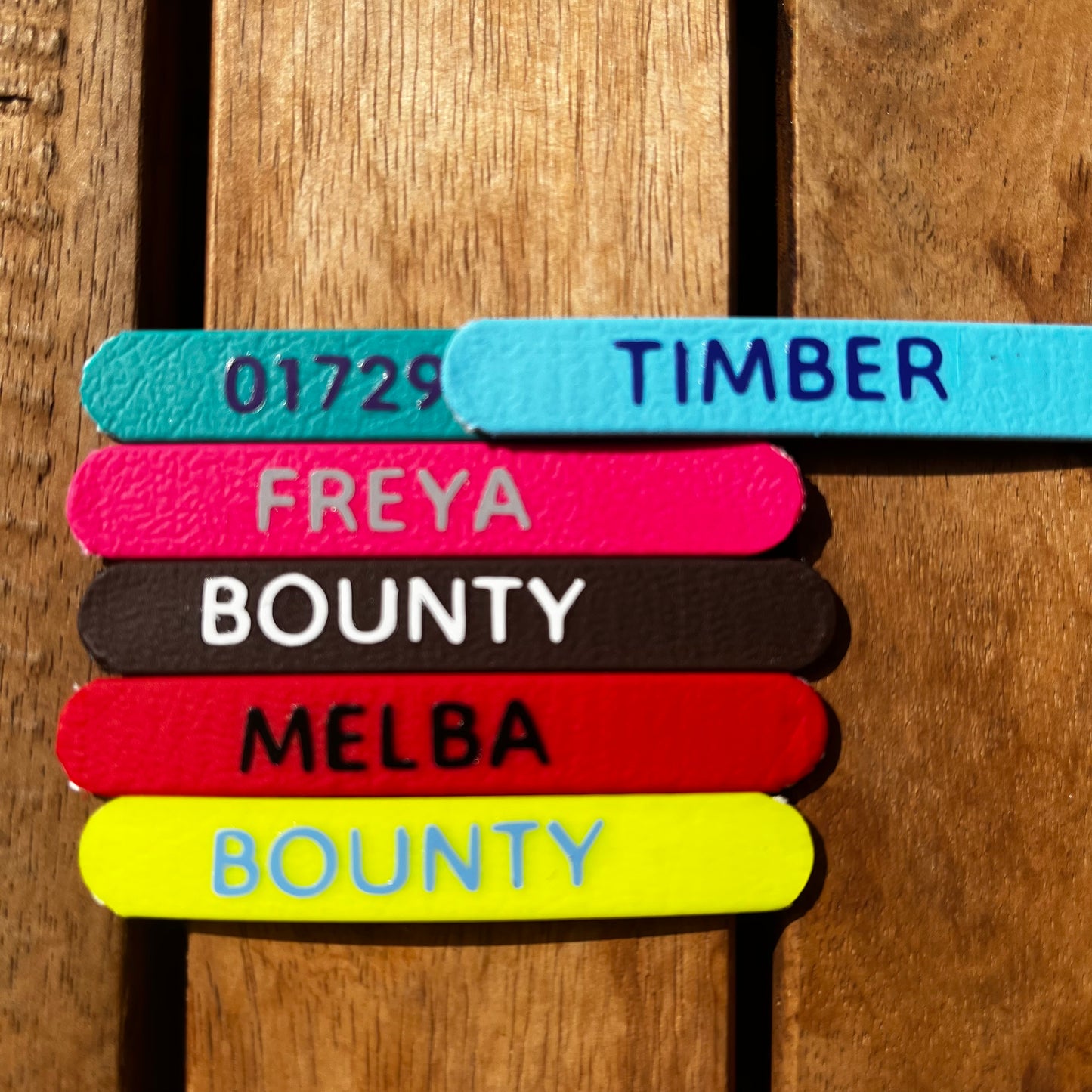 Biothane brand collar