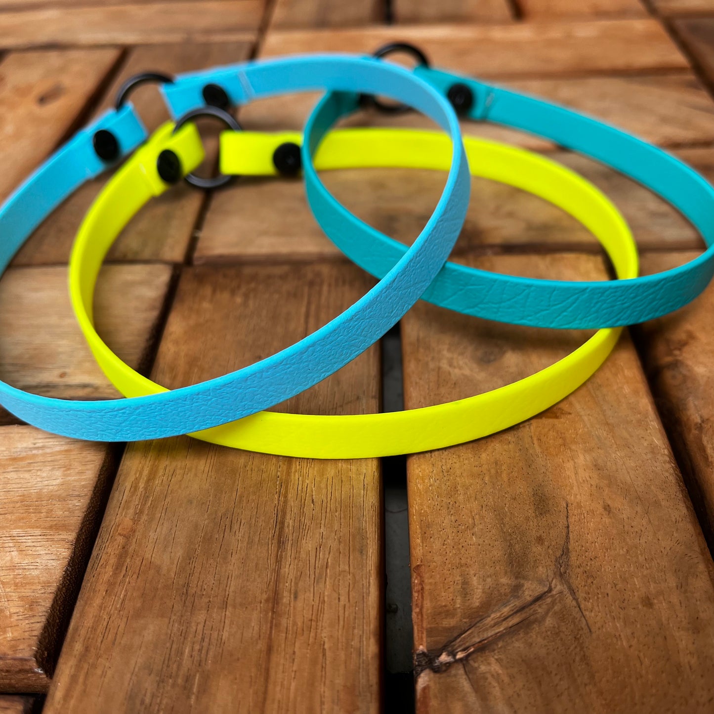 Biothane brand collar