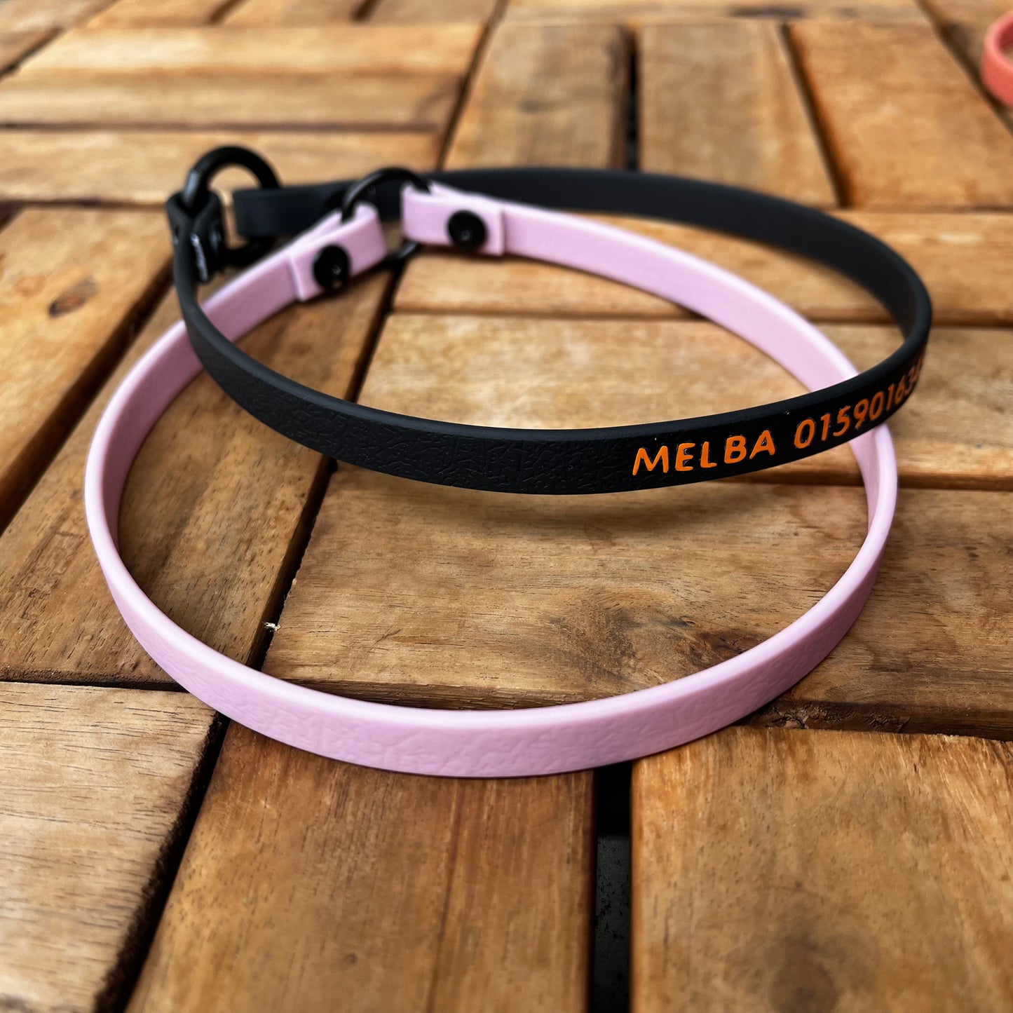 Biothane brand collar