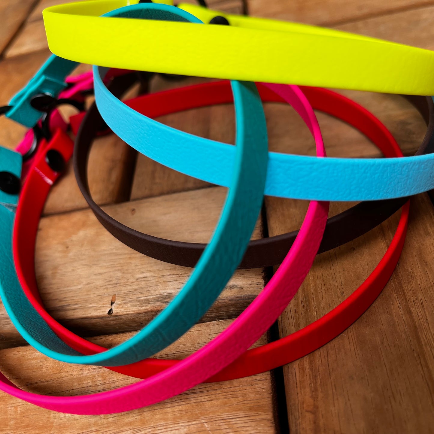 Biothane brand collar