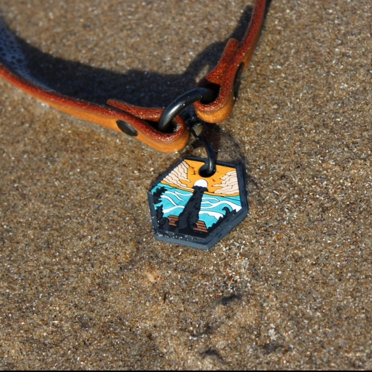 UDOG Tag “Sandy Ocean”