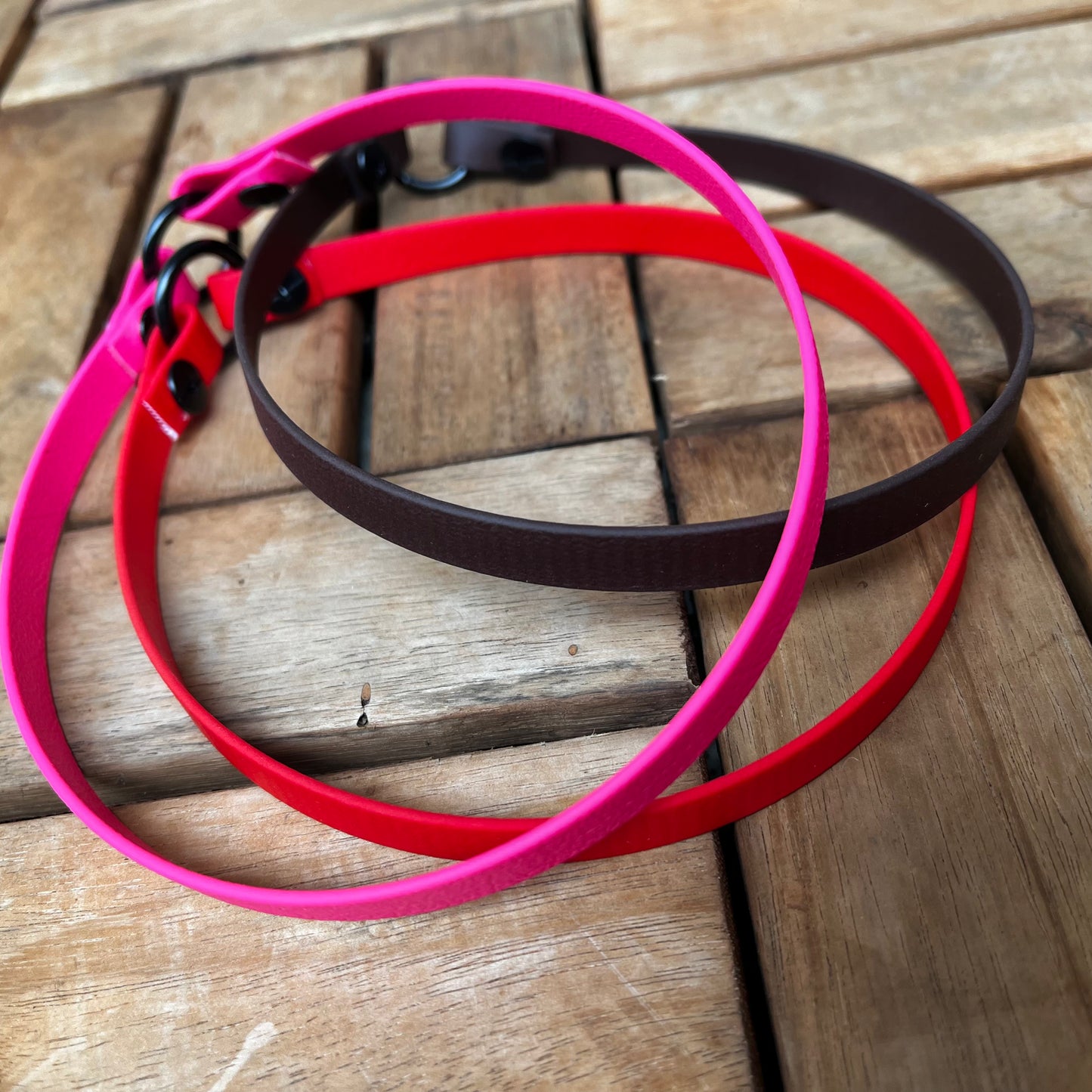 Biothane brand collar