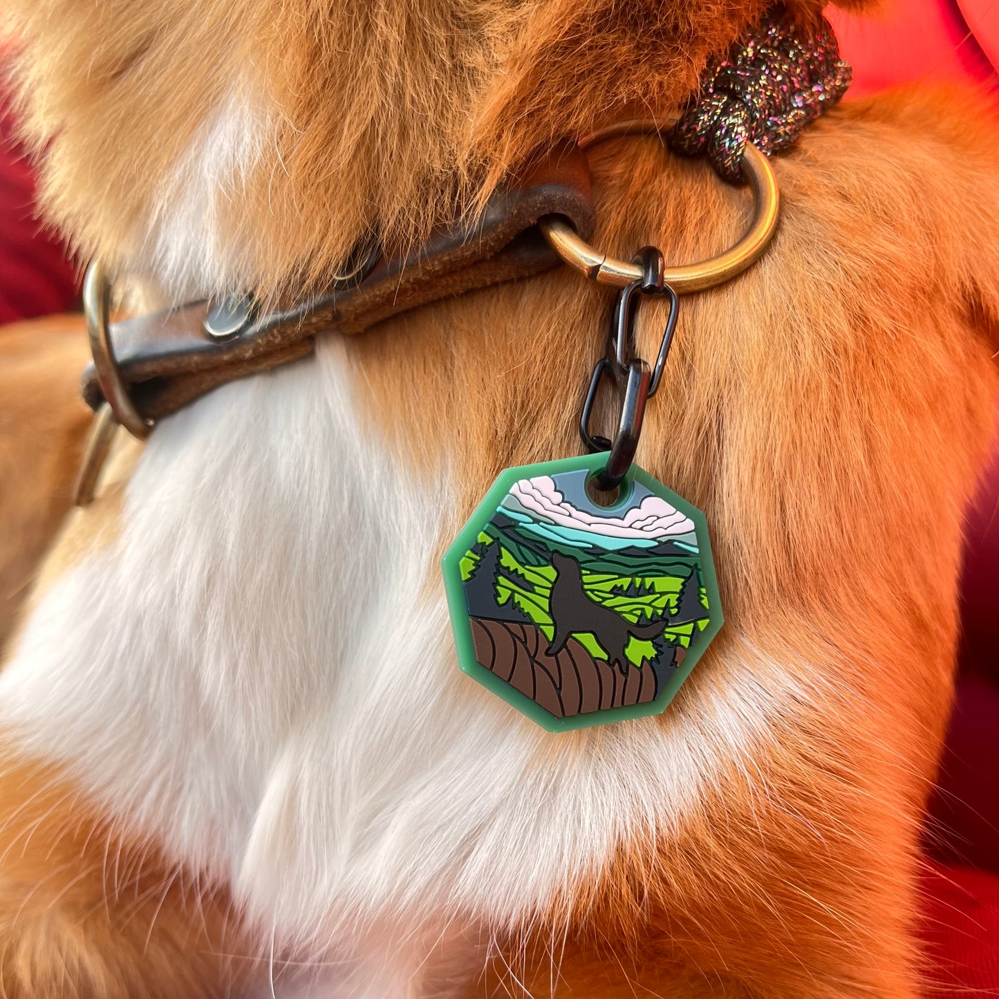 UDOG Tag „Grass Land ”