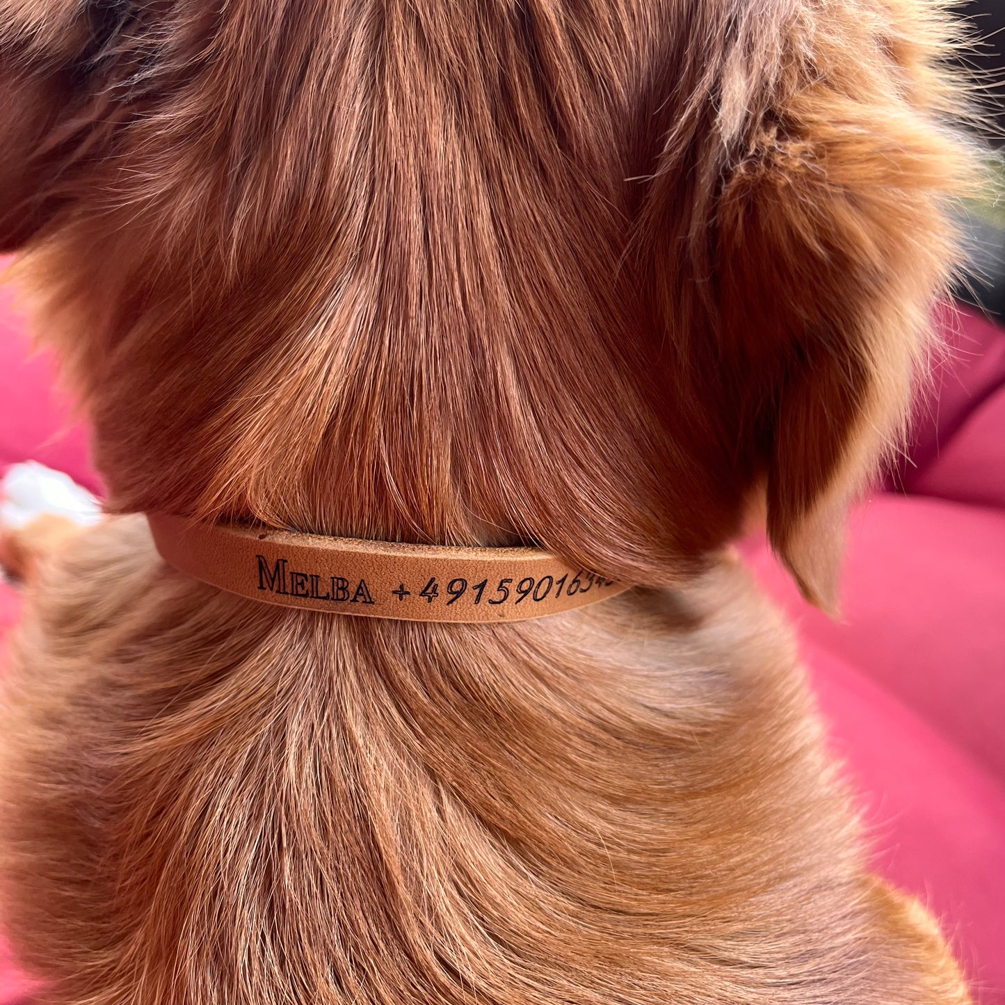 Branded leather collar BROWN