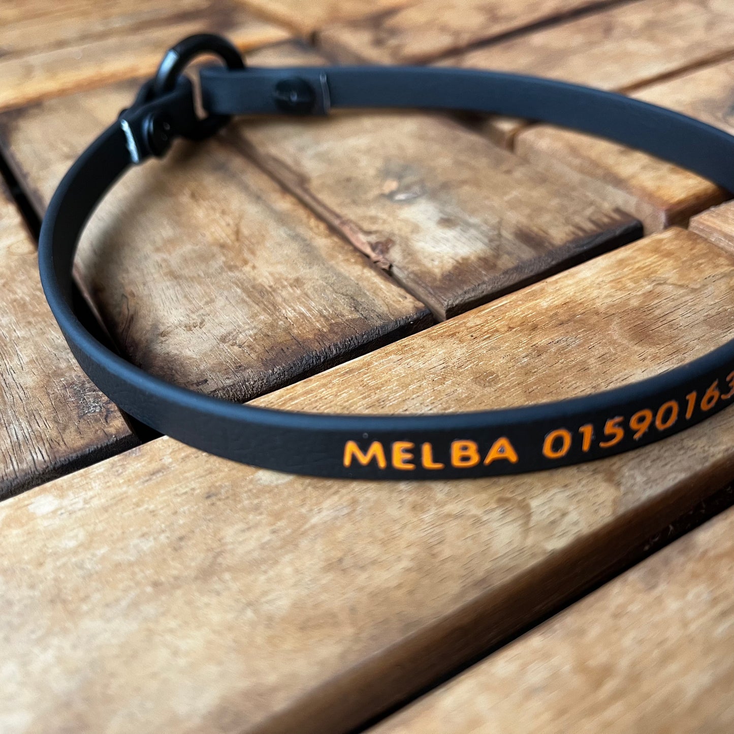 Biothane brand collar
