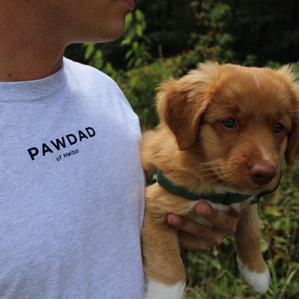 Shirt "PAWDAD" - gray - customizable