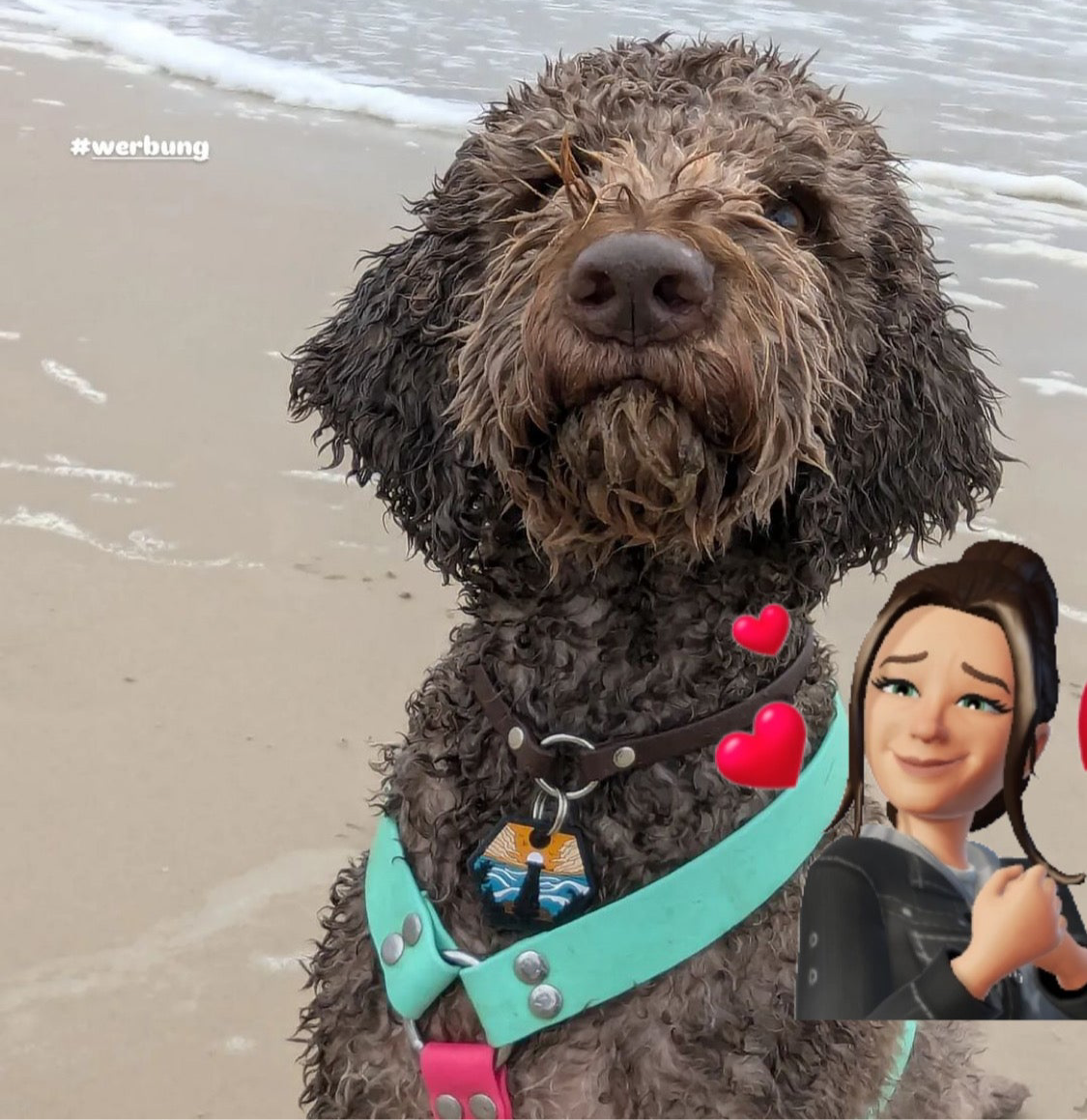 UDOG Tag “Sandy Ocean”