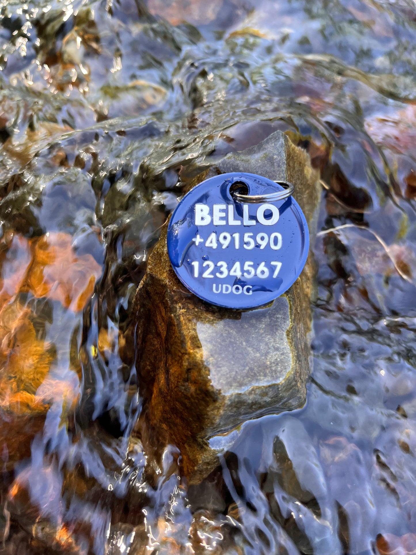 UDOG Tag “Water and Hills”