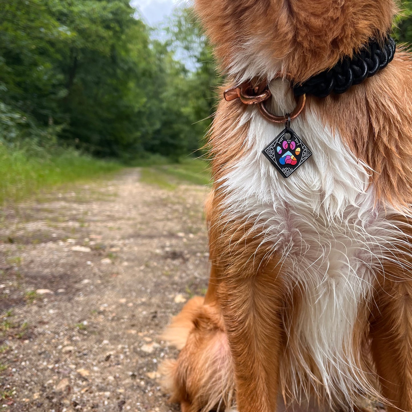 UDOG Tag “Galaxy of the Woof”