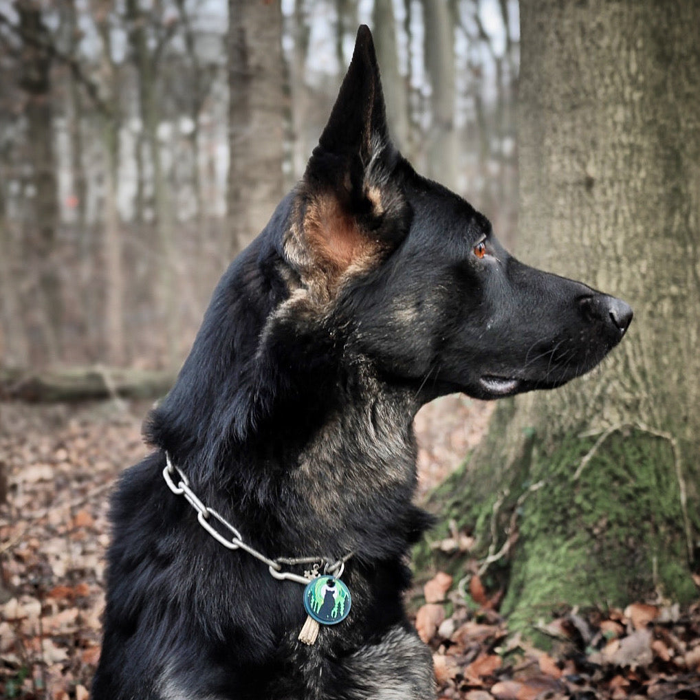 UDOG Tag “Howlk”