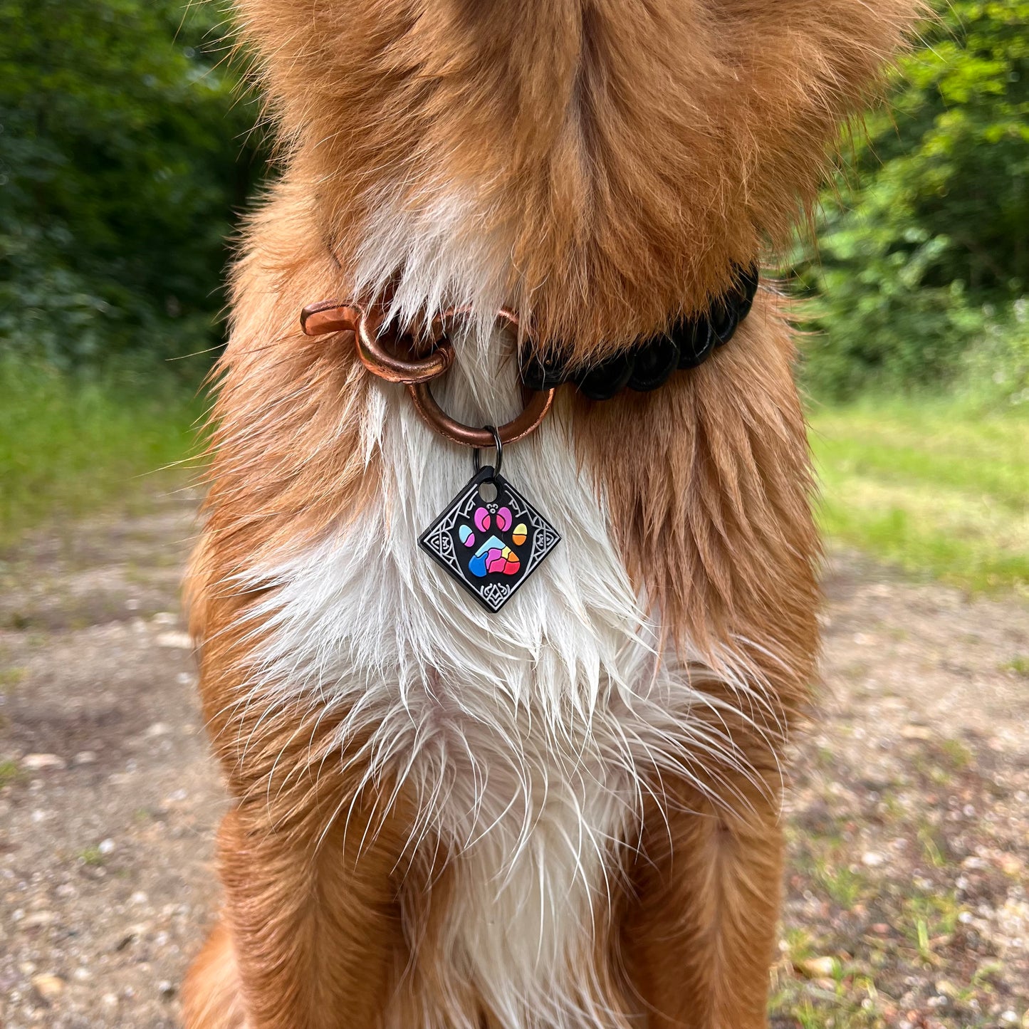 UDOG Tag “Galaxy of the Woof”