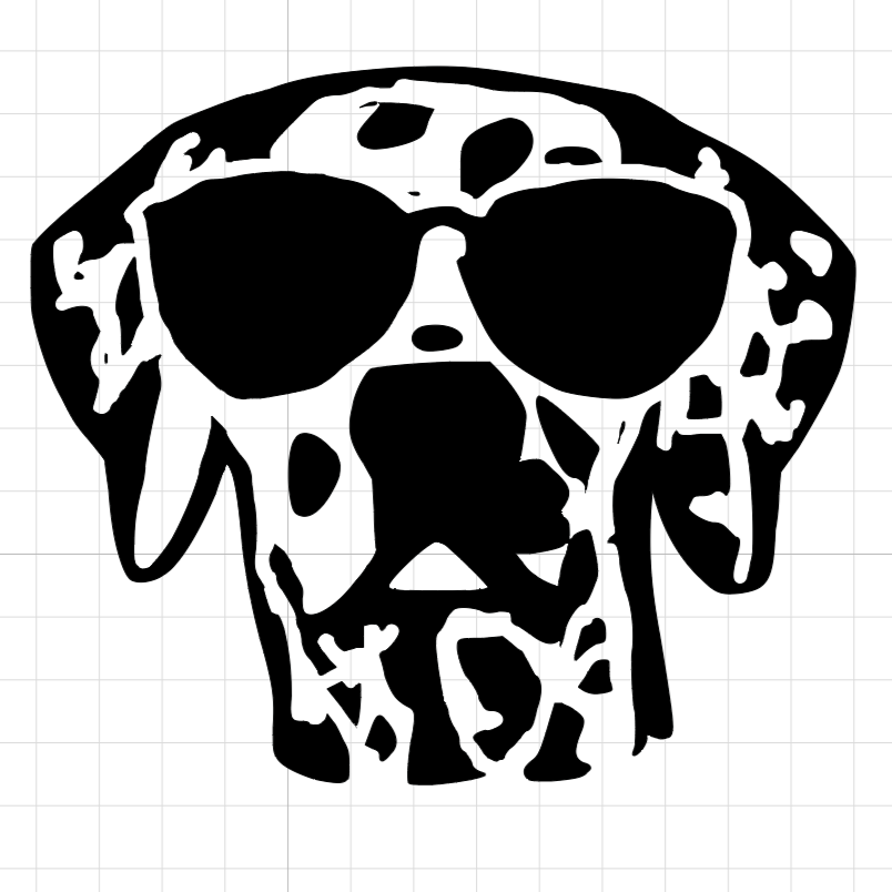 Cool Dalmatian