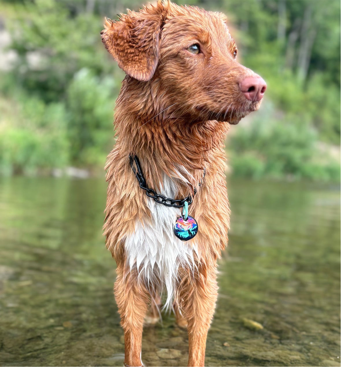 UDOG Tag “Water and Hills”