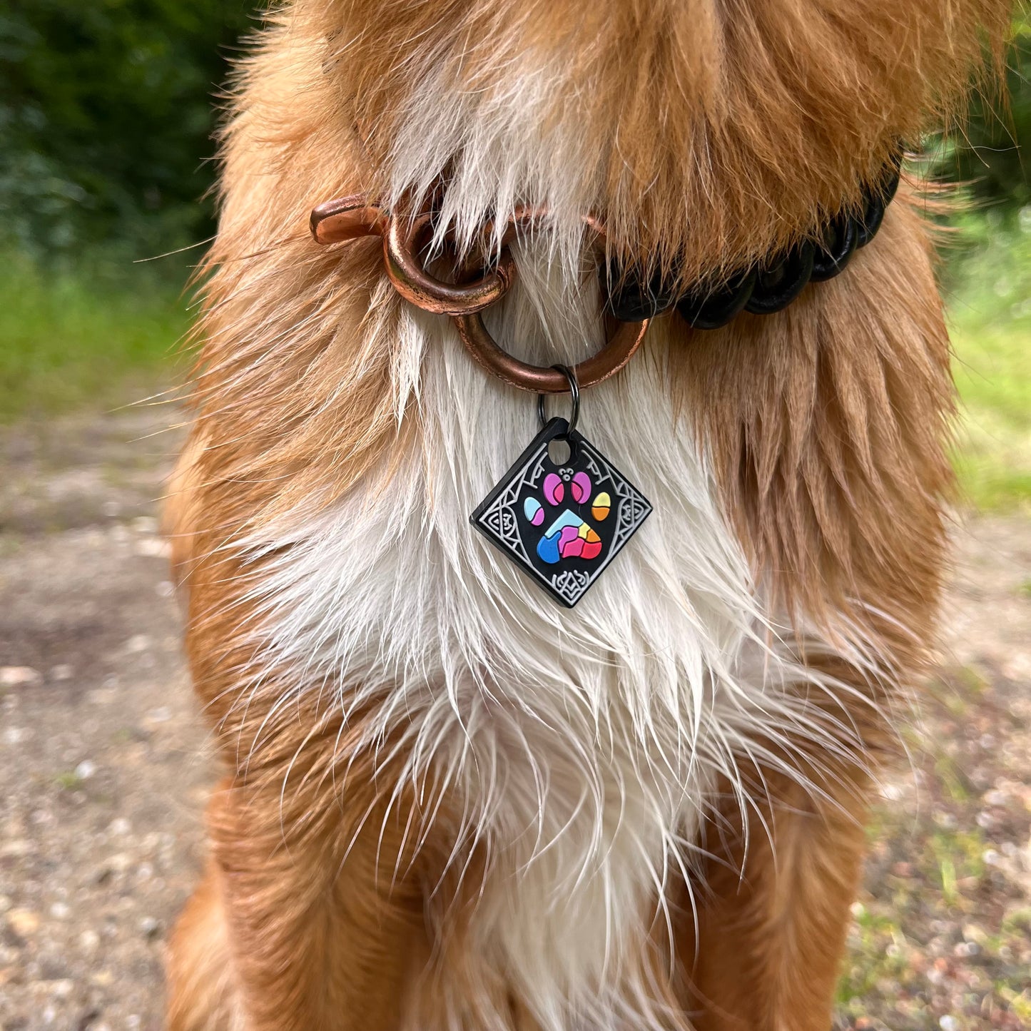 UDOG Tag “Galaxy of the Woof”