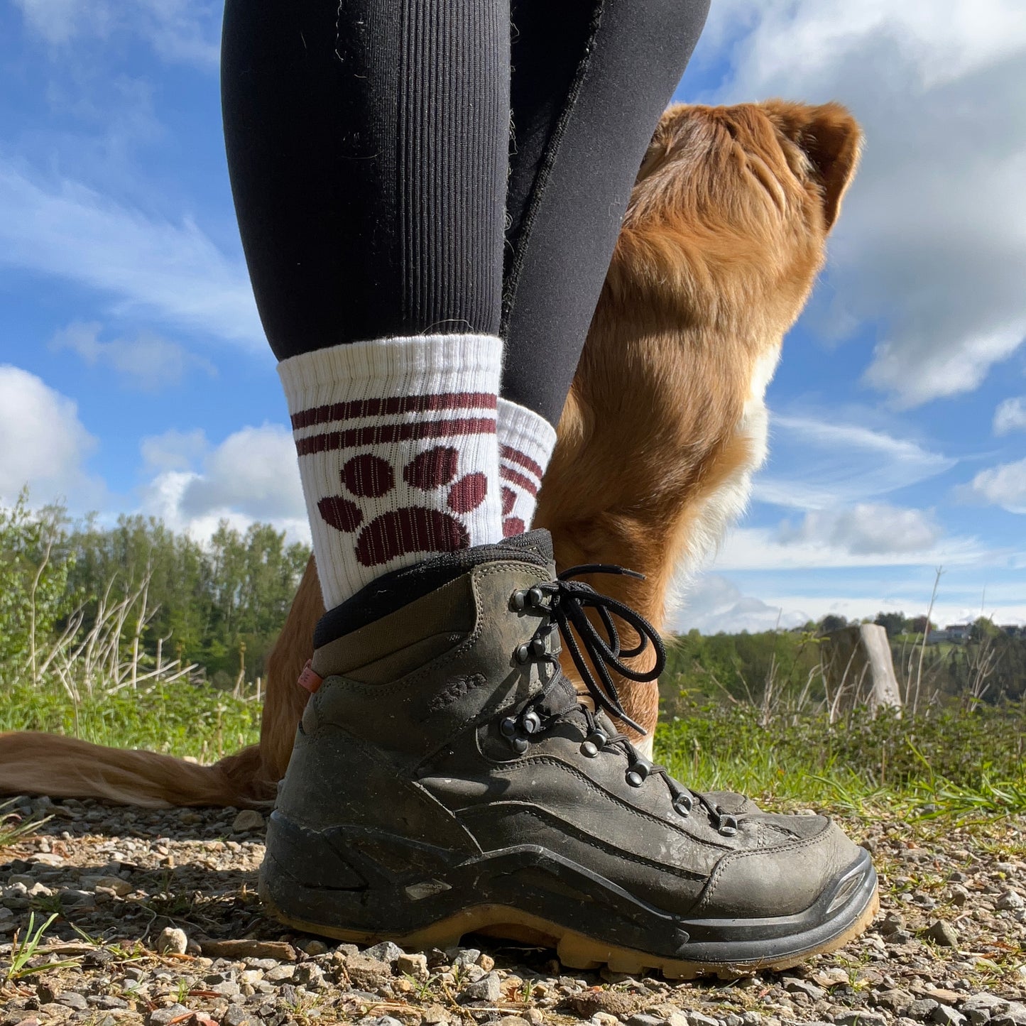 Socken - "Pfote" weiß-weinrot