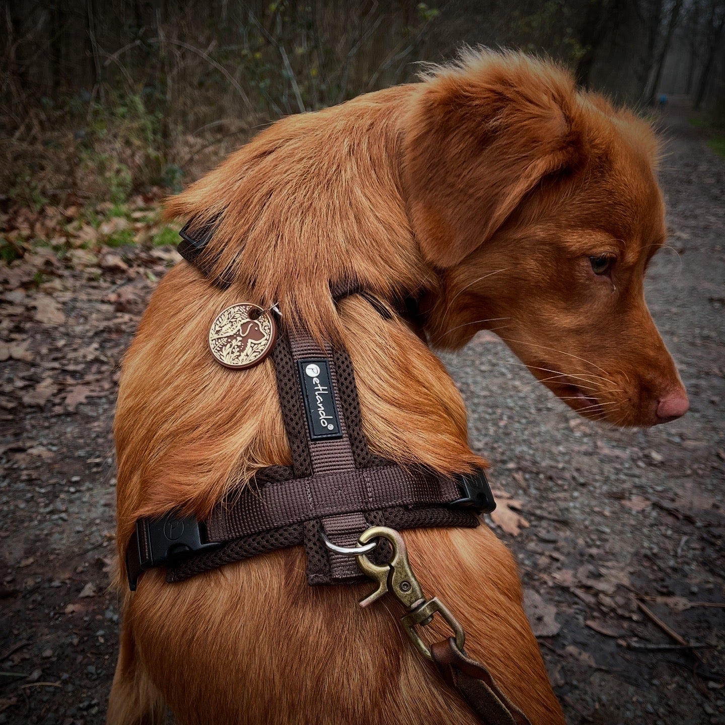 UDOG Tag “Mother Nature”