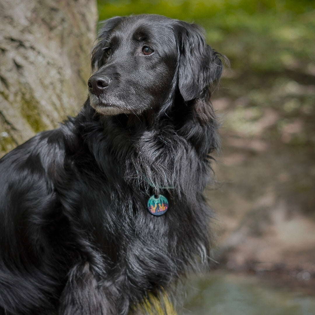 UDOG Tag “Mountain Love”