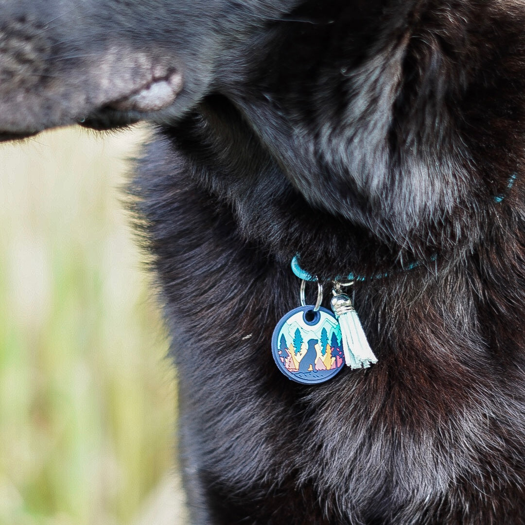 UDOG Tag “Mountain Love”