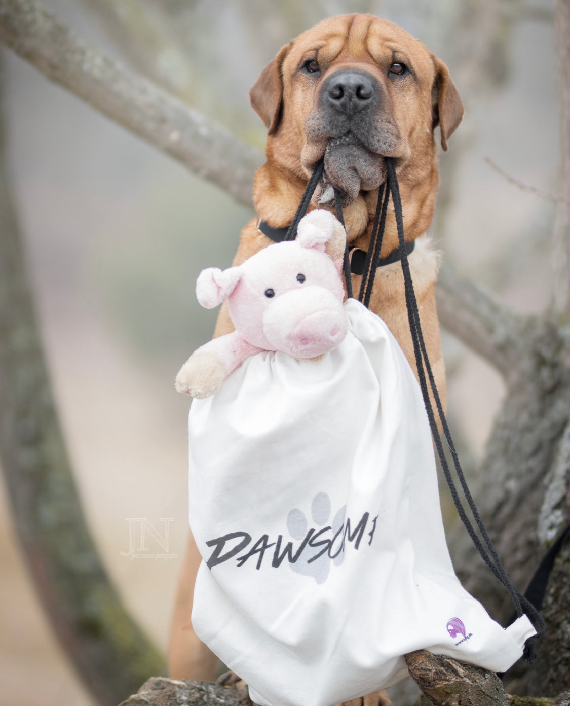 Pawsome canvas bag