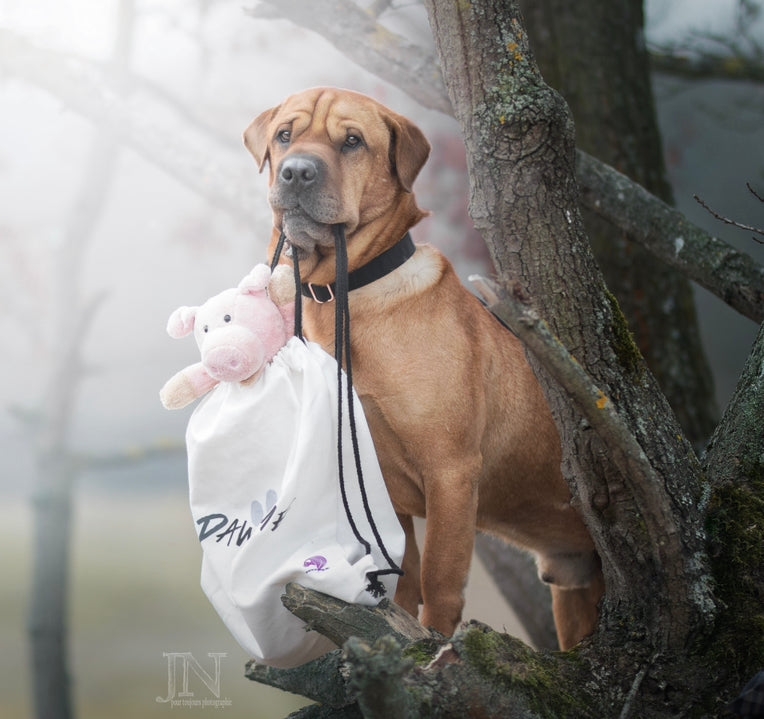 Pawsome canvas bag