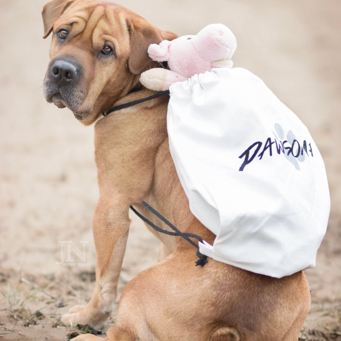 Pawsome canvas bag