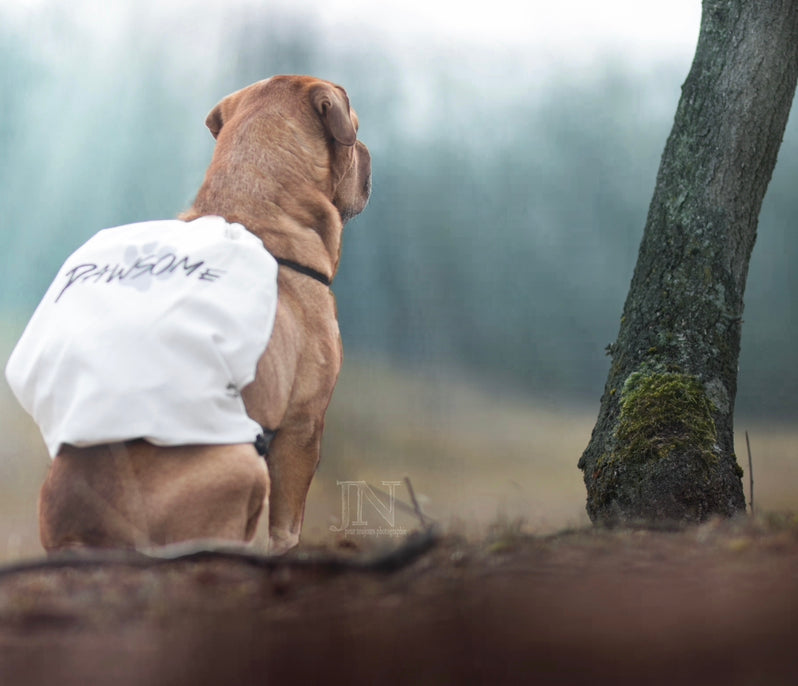 Pawsome canvas bag