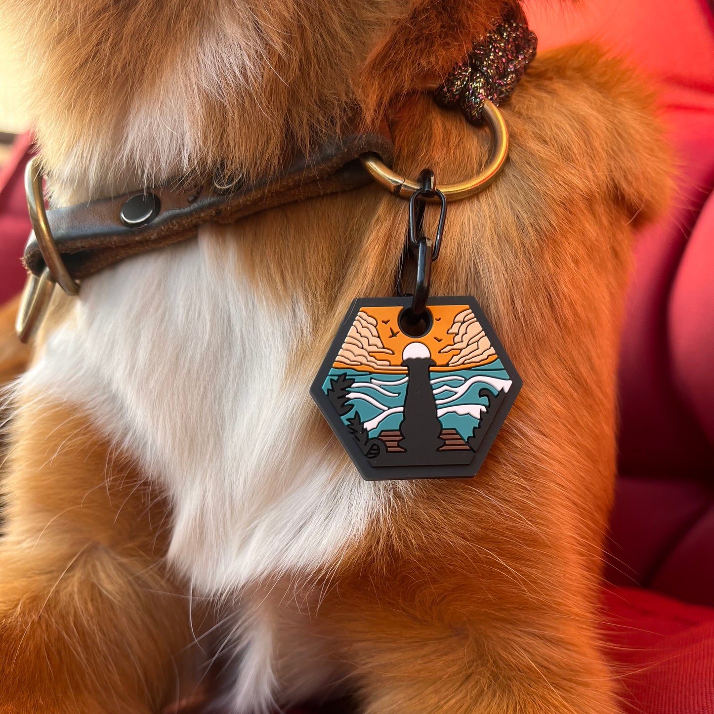 UDOG Tag “Sandy Ocean”