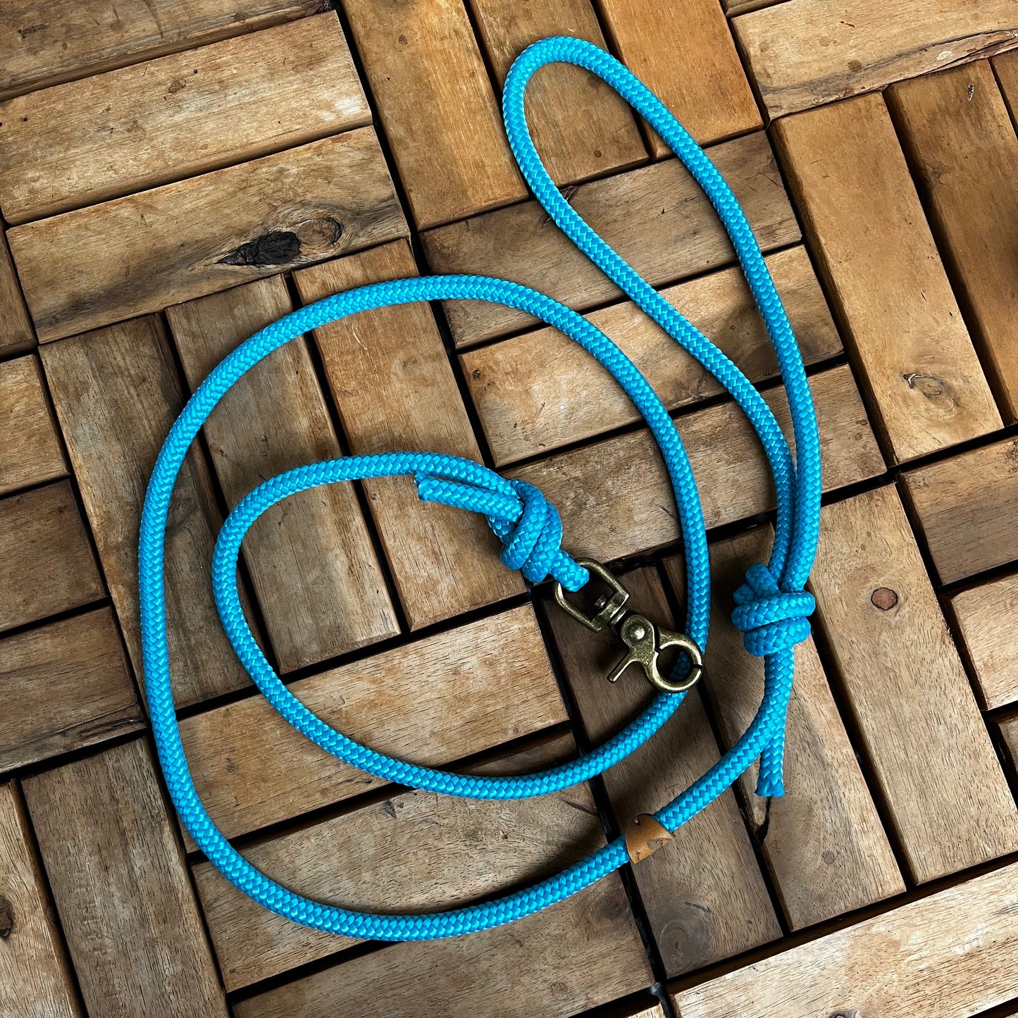 Leash with hand strap