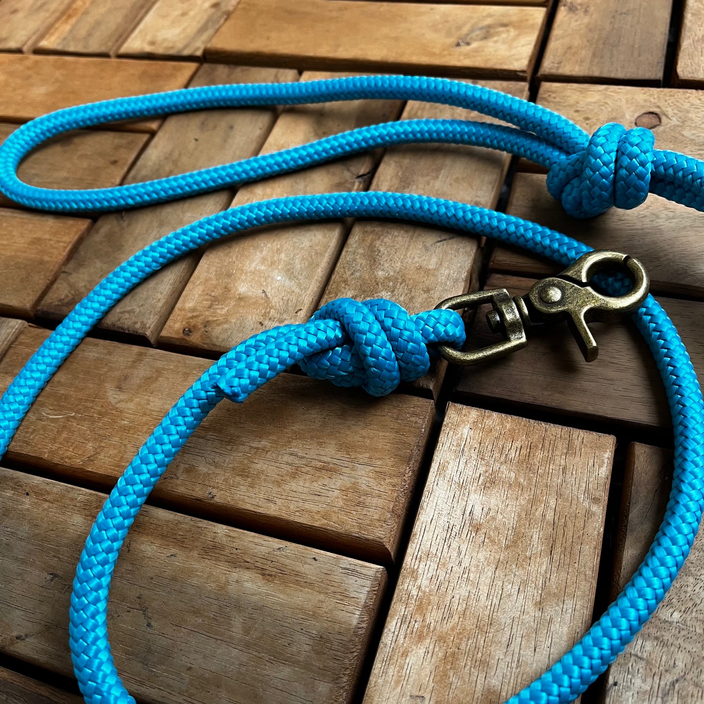 Leash with hand strap