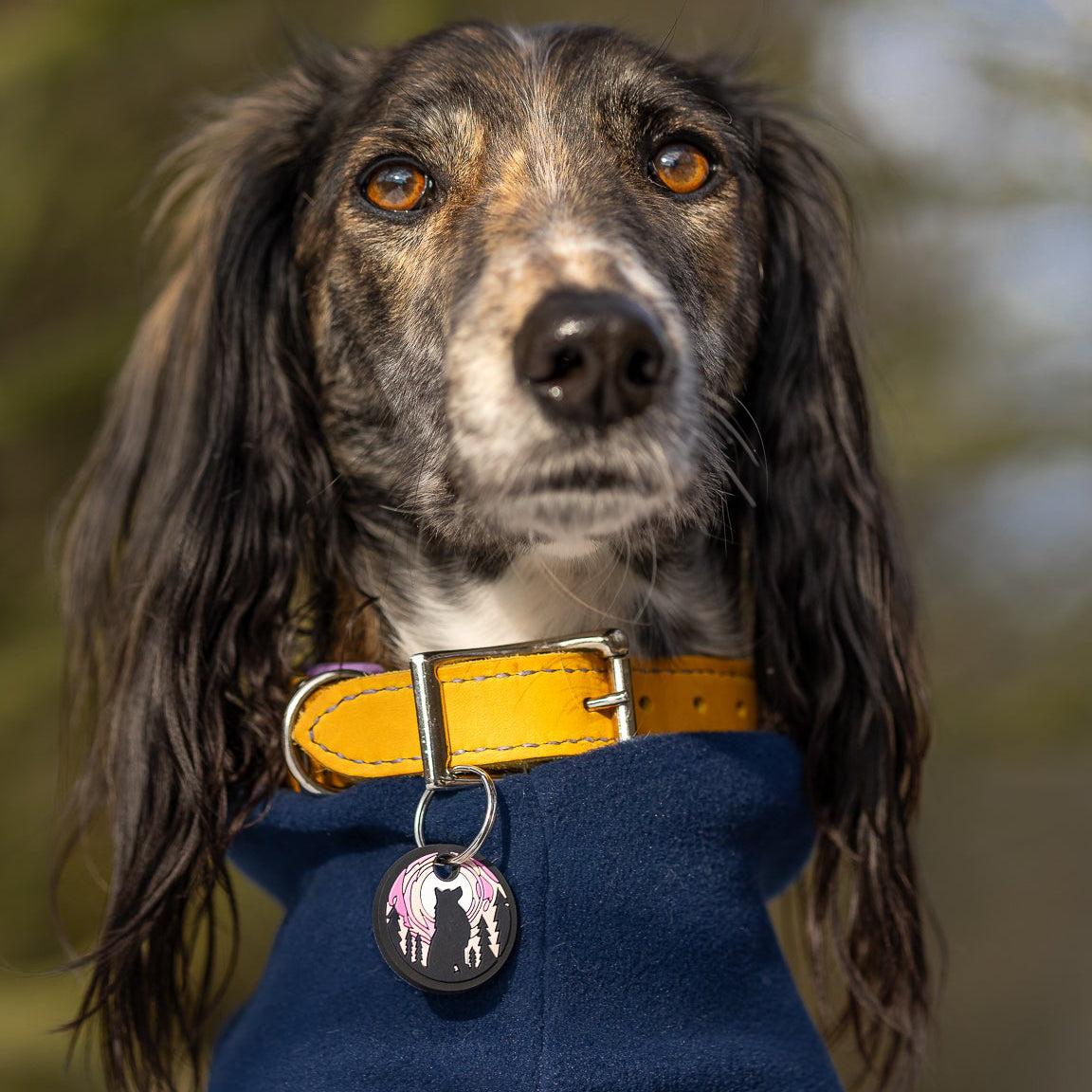 UDOG Tag “Howlk”
