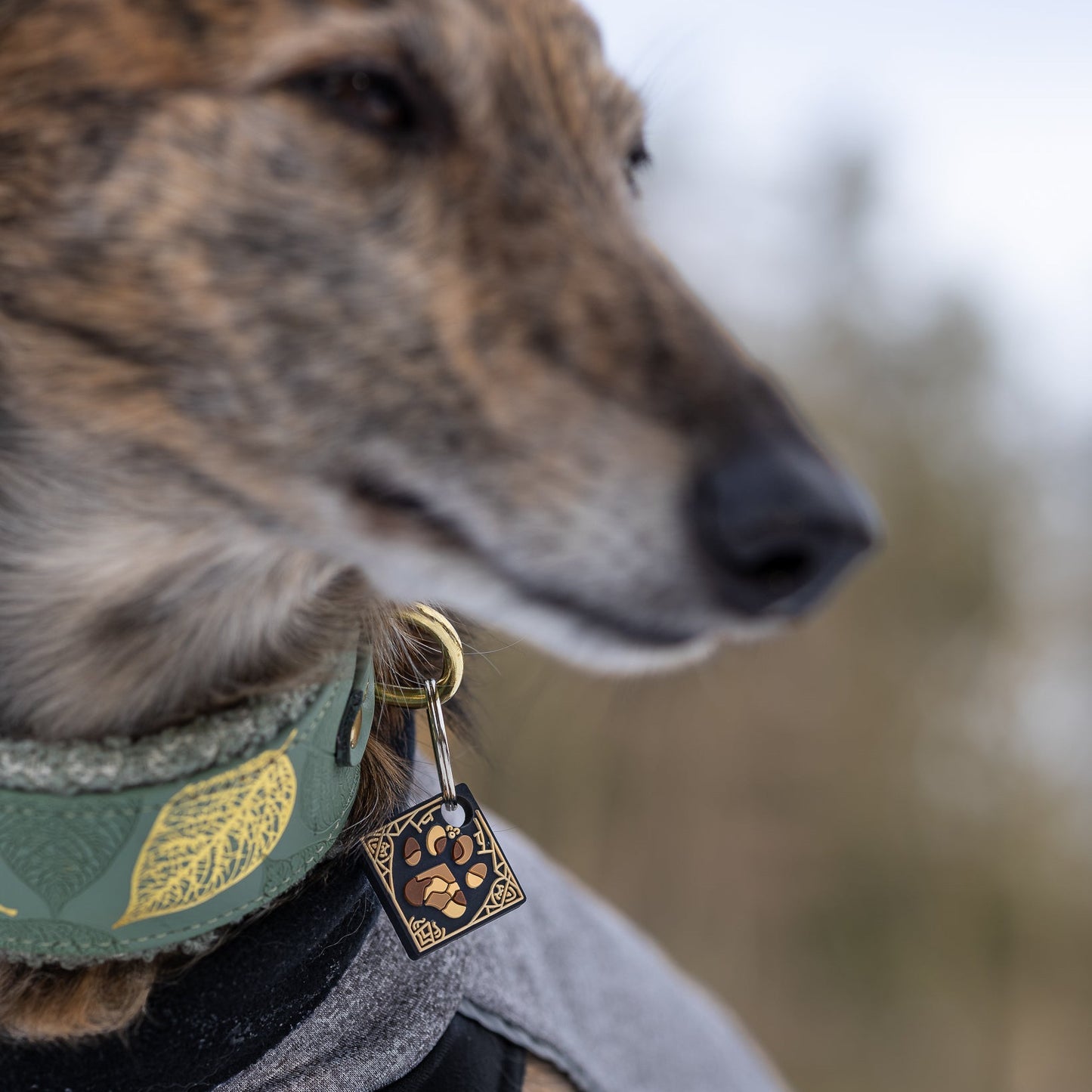 UDOG Tag “Galaxy of the Woof”