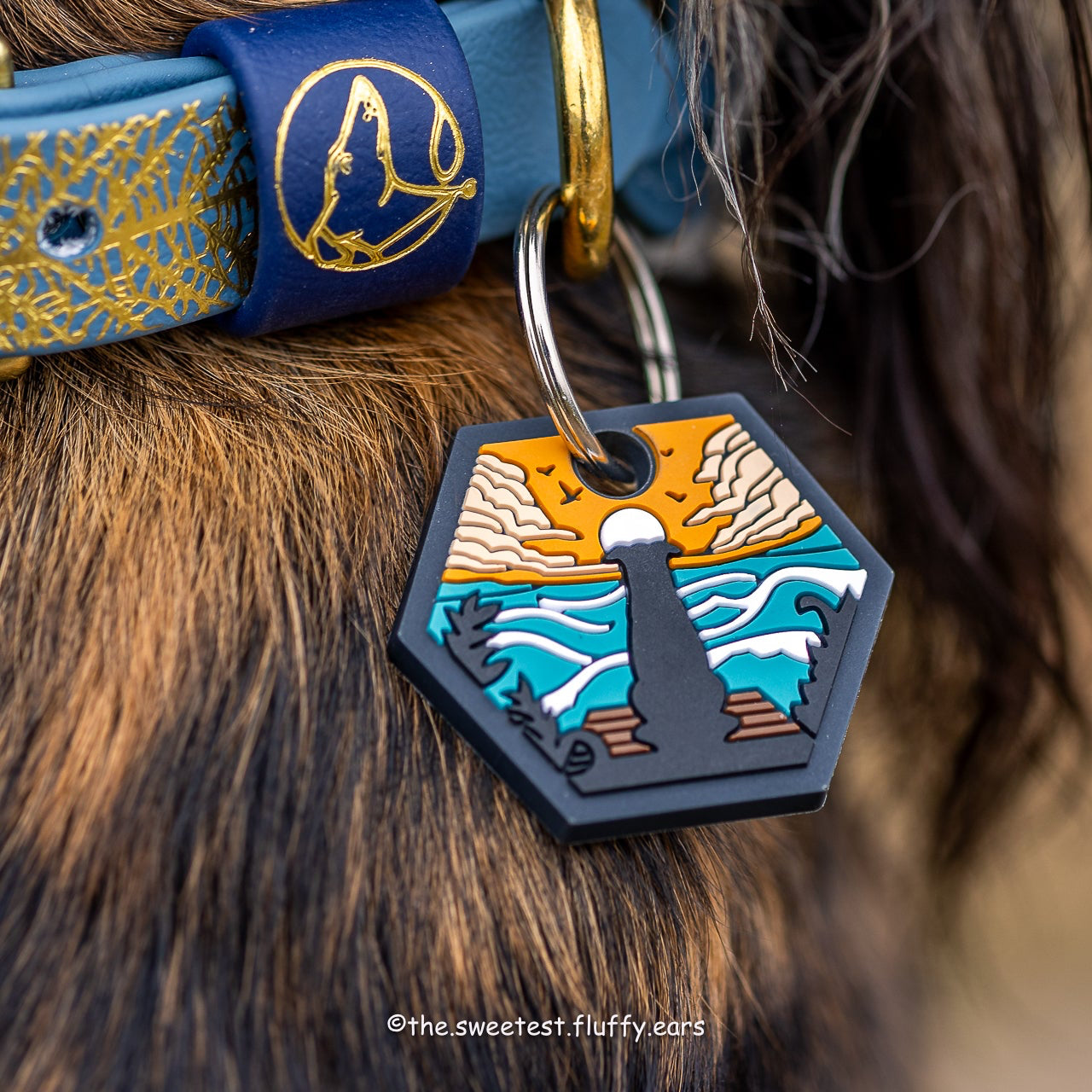 UDOG Tag “Sandy Ocean”