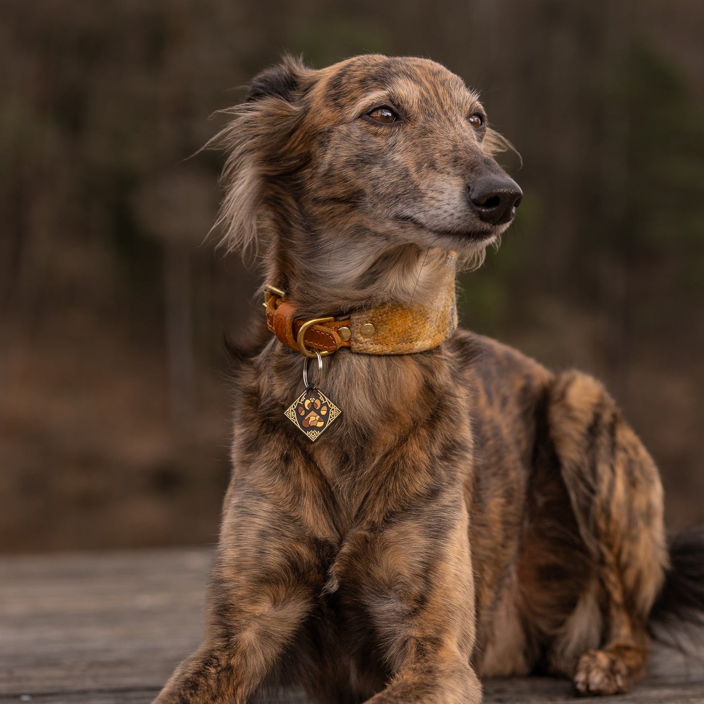 UDOG Tag “Galaxy of the Woof”