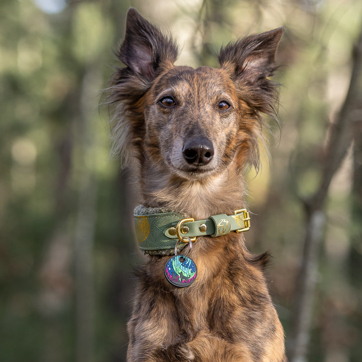 UDOG Tag “Aurora Nights“