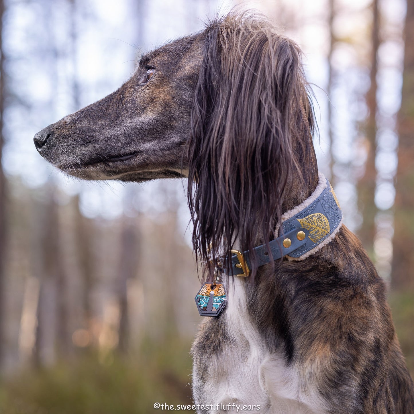 UDOG Tag “Sandy Ocean”