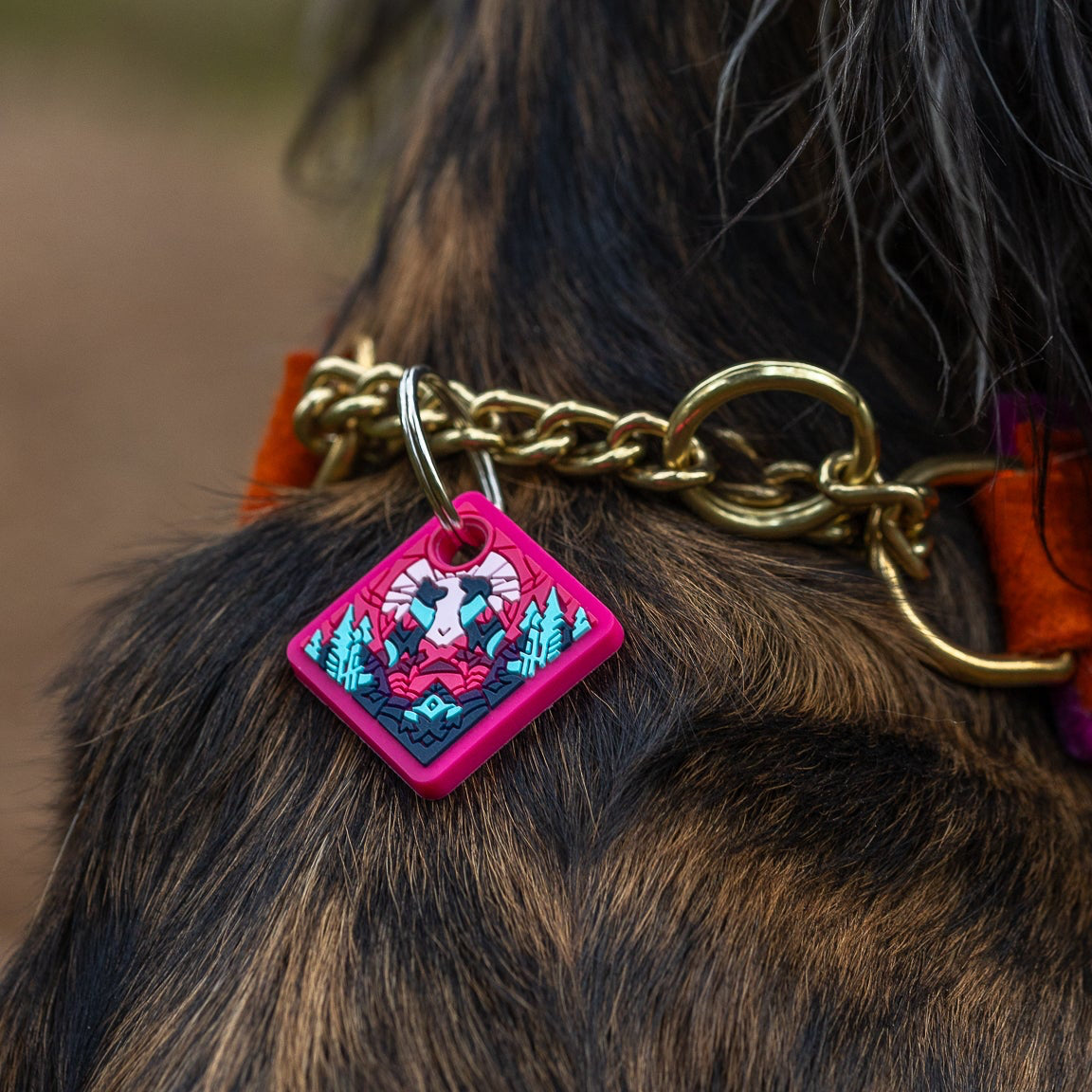 UDOG Tag “Nagual”